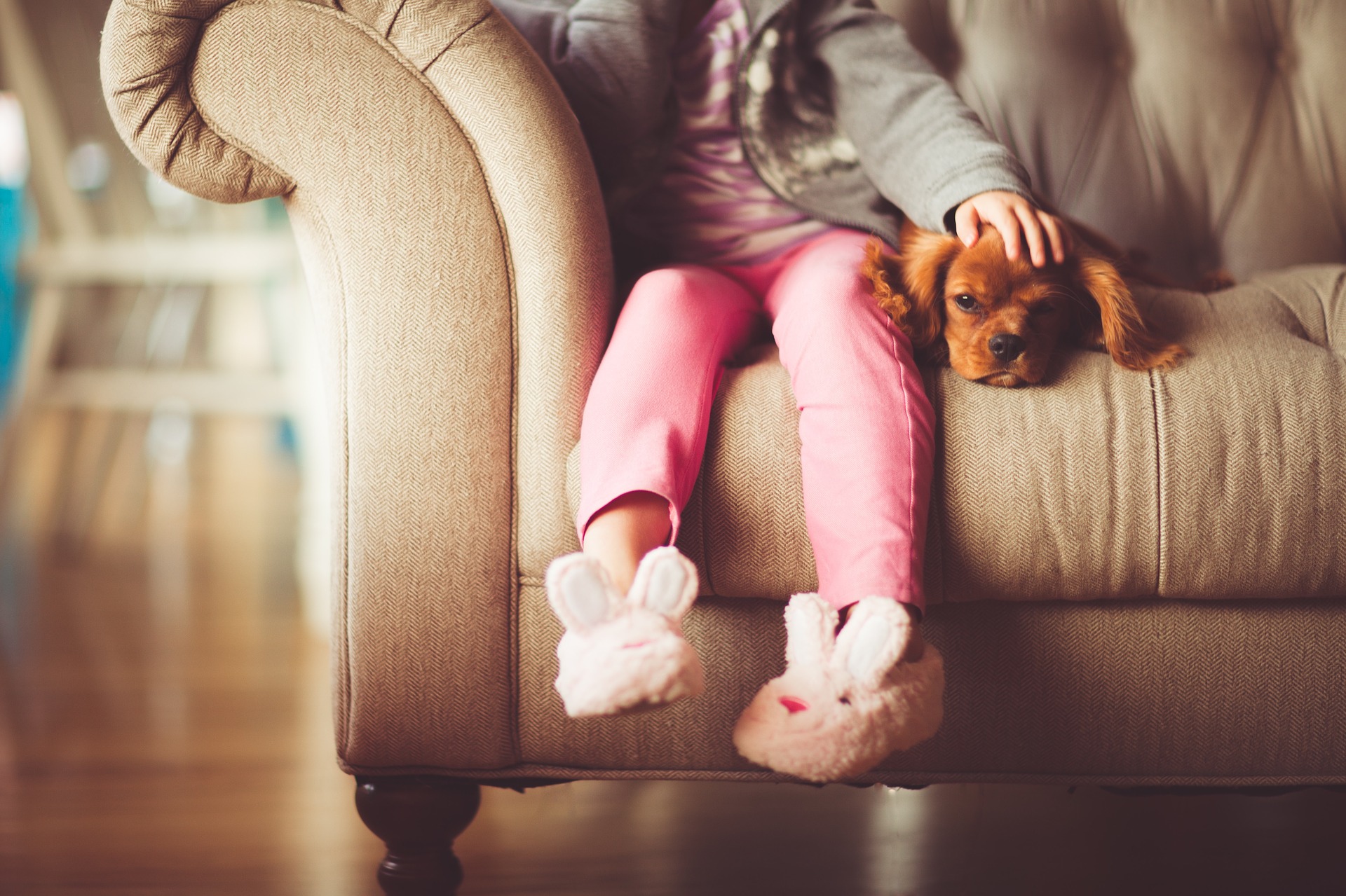 Dog sitting on couch with a small female child wearing pink pants and bunny slippers. Her hand rests on top of the brown dog's head.