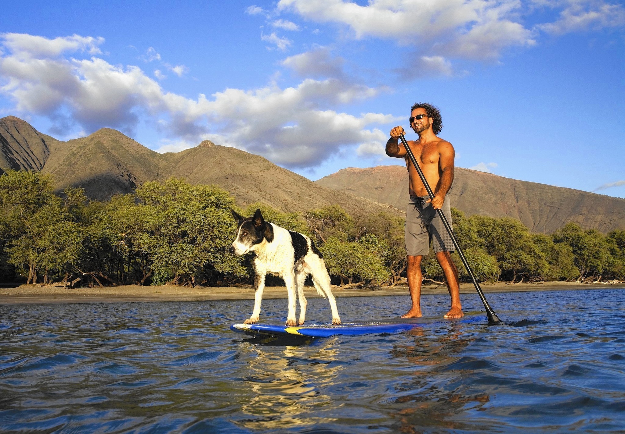 paddle-boarding-dog-adam-croman